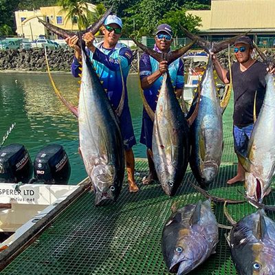 Big-Game-fishing-image-mauritius-400