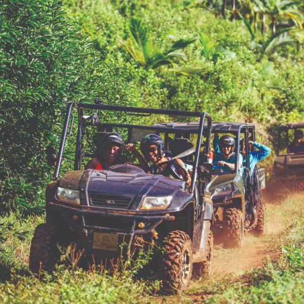 Buggy_ride_lg