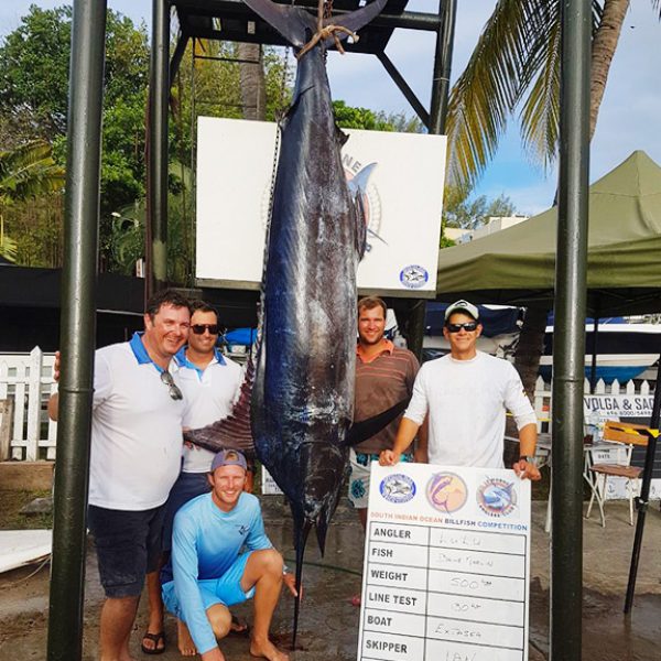 big-game-fishing-marlin-siobc