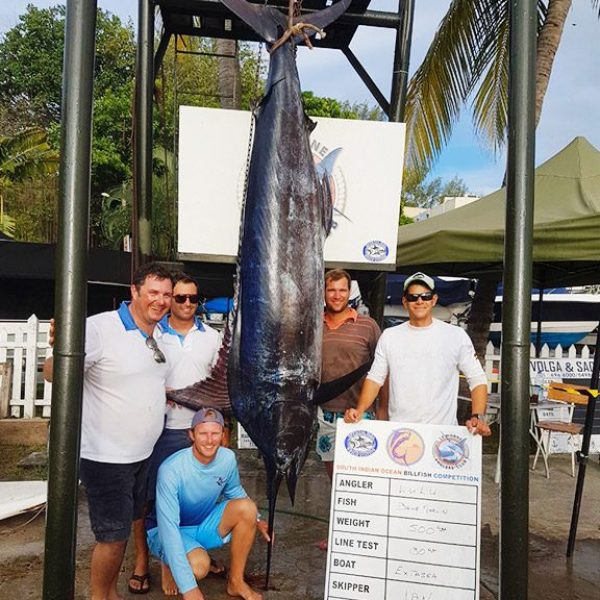 big-game-fishing-marlin-siobc