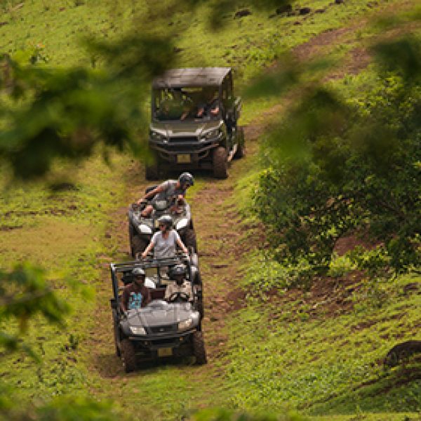 buggy_quad_product_lg