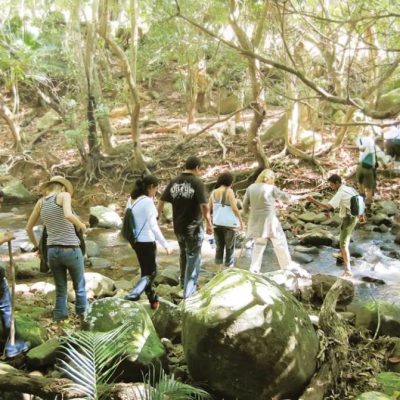 frdrica nature reserve lowdef 12